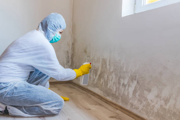 Mold Remediation specialist working in Clayton